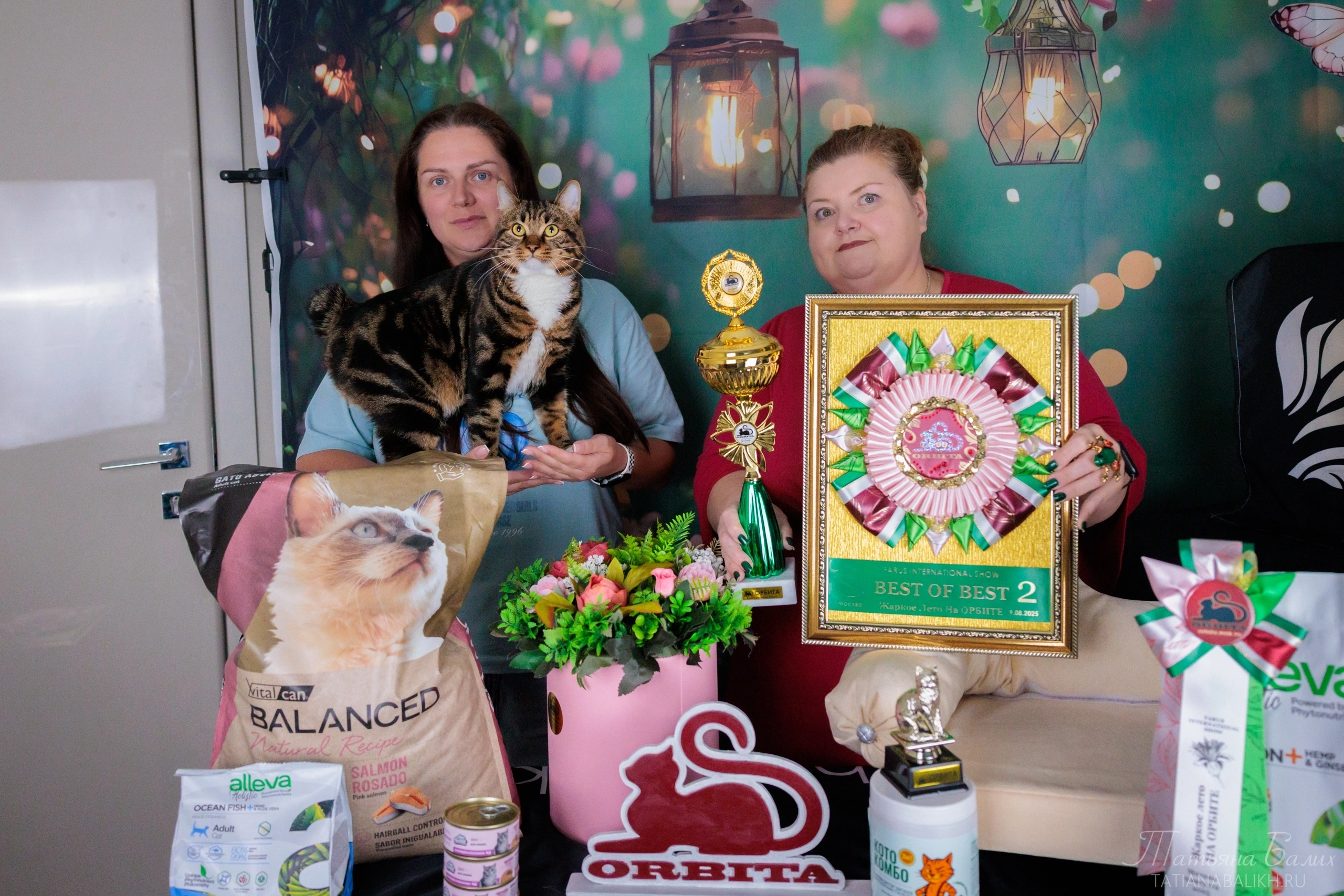 КЛК орбита