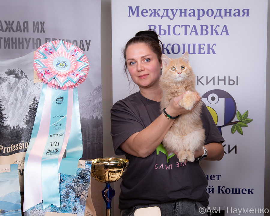 Синичкины посиделки