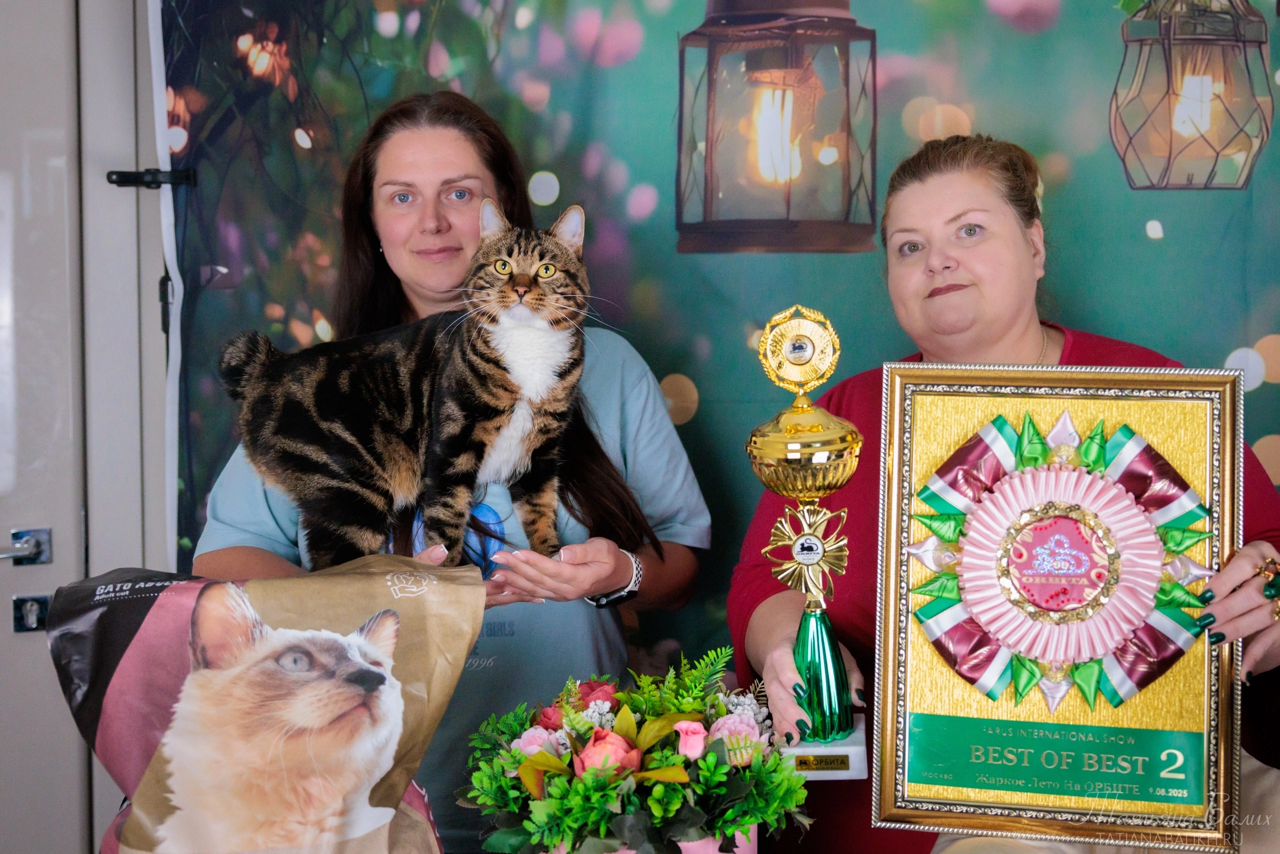 КЛК орбита